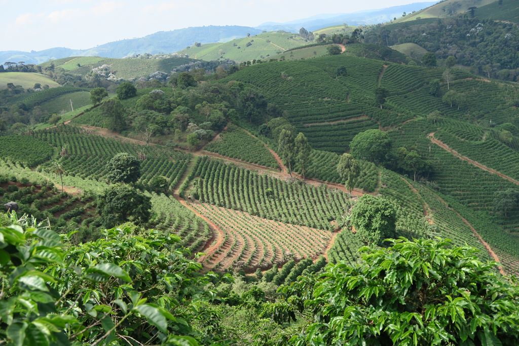 Brazil Fazenda Sul de Minas Salto