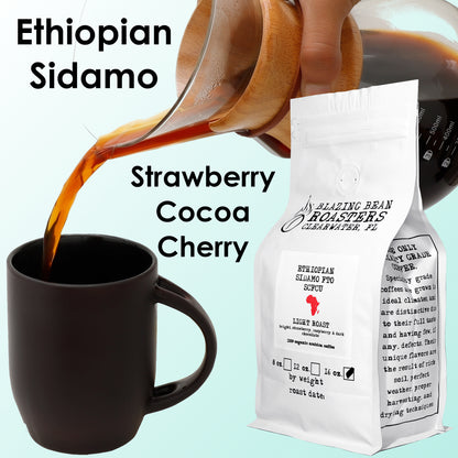 Organic Ethiopian Sidamo SCFCU Fair Trade