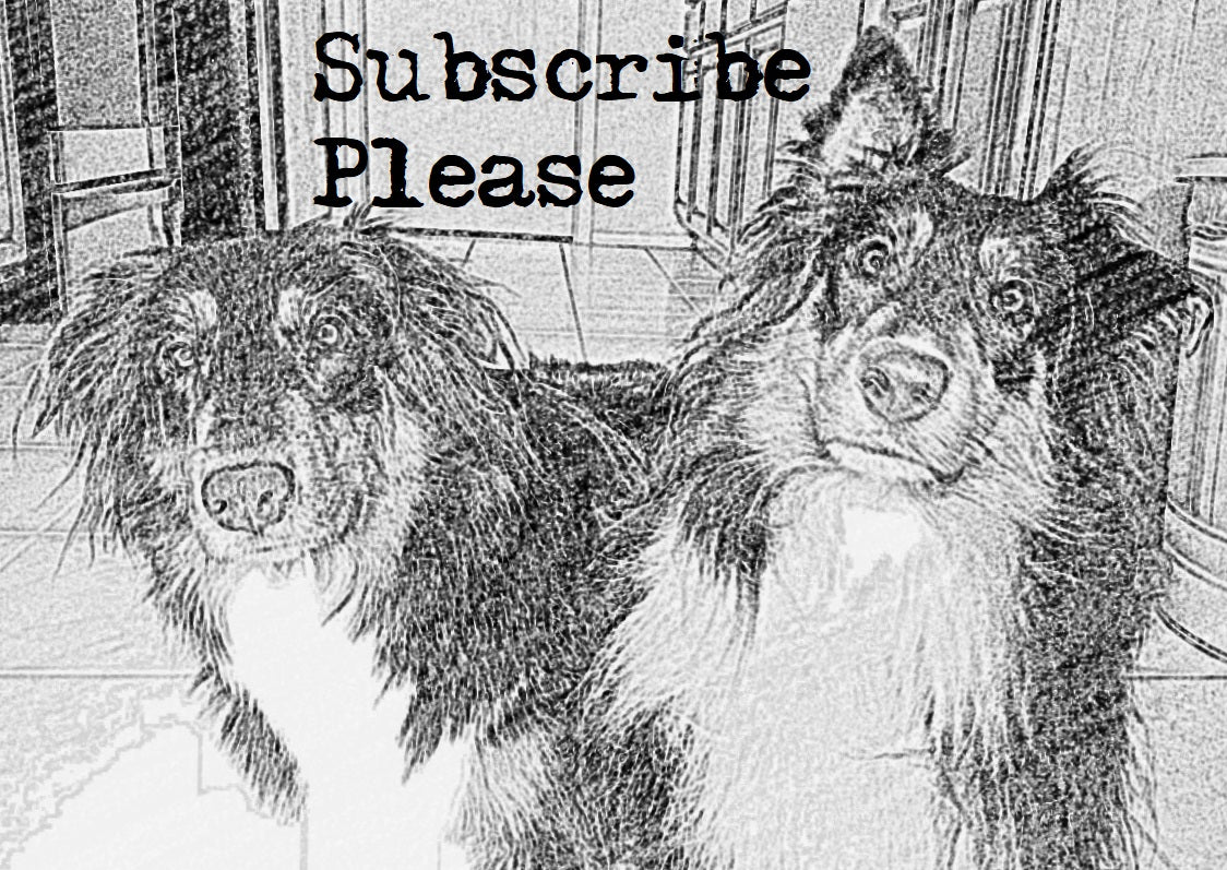 Two Dog Blend 3lbs Subscription Bundle